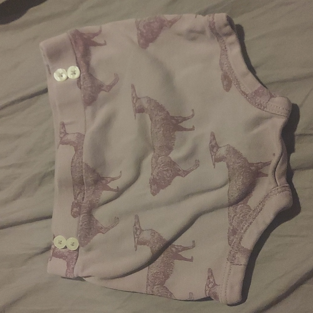Kate quinn cotton purple camel bummie shorts